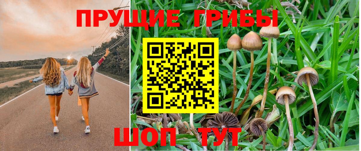 Псилоцибиновые грибы Magic Shrooms Гай
